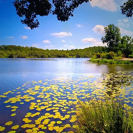 Dans Les Landes Campsite Aureilhan (Landes)