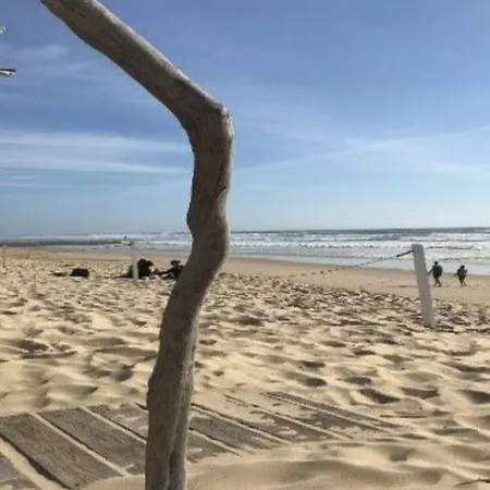 Kemping Dans Les Landes *