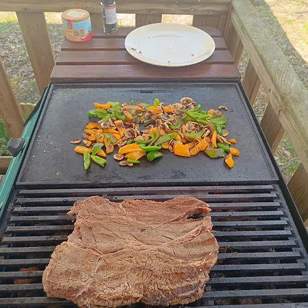 Dans Les Landes Aureilhan (Landes)