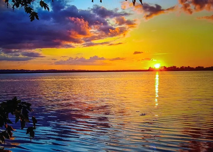 Campeggio Dans Les Landes Aureilhan (Landes)