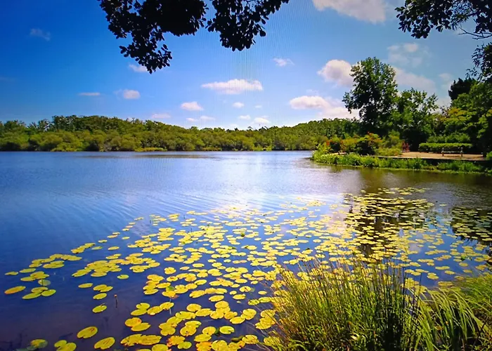 Dans Les Landes Campeggio Aureilhan (Landes)